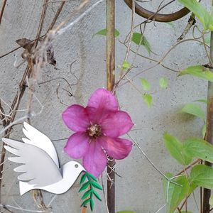 Meet your Posher, Jane